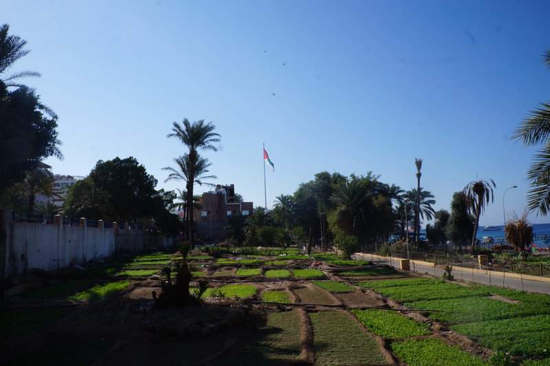 DSC01099