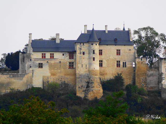 DSC01312Chinon [640x480]