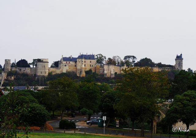 DSC01314Chinon [640x480]