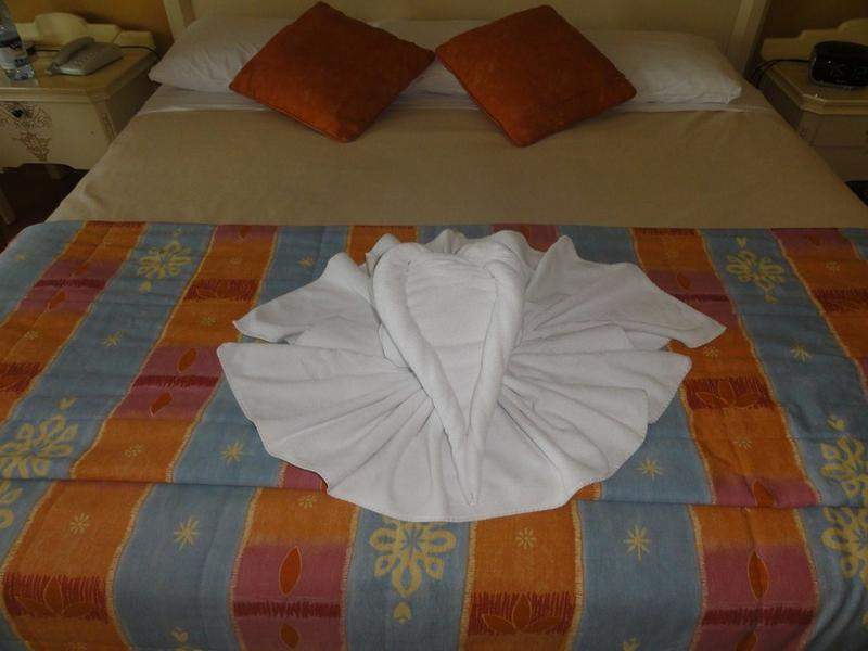 DSC01341