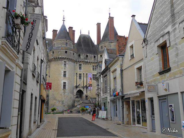 DSC01382Langeais [640x480]