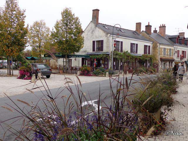 DSC01513Cheverny [640x480].JPG