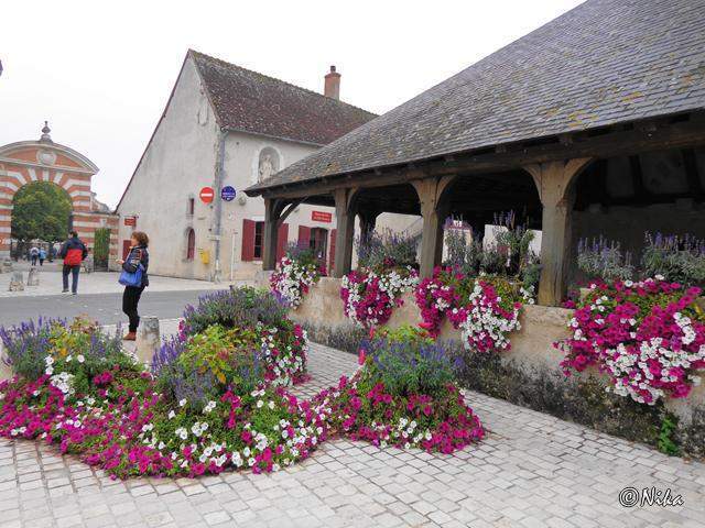DSC01516Cheverny [640x480].JPG