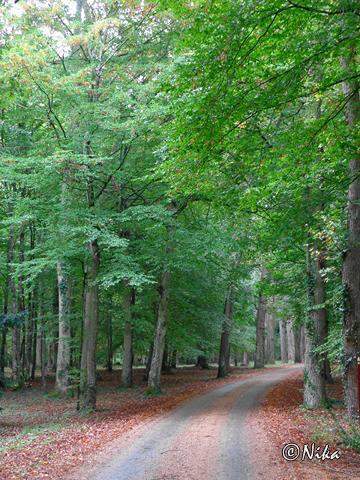 DSC01524ChateauBreuil [640x480].JPG