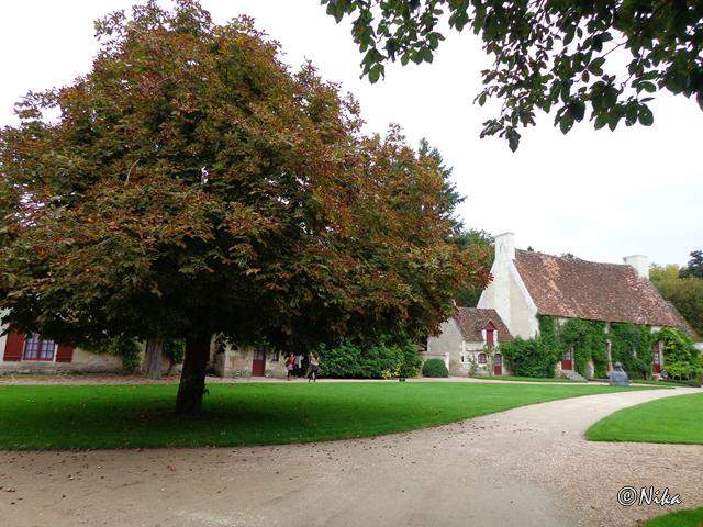 DSC01552Chenonceau [640x480].JPG