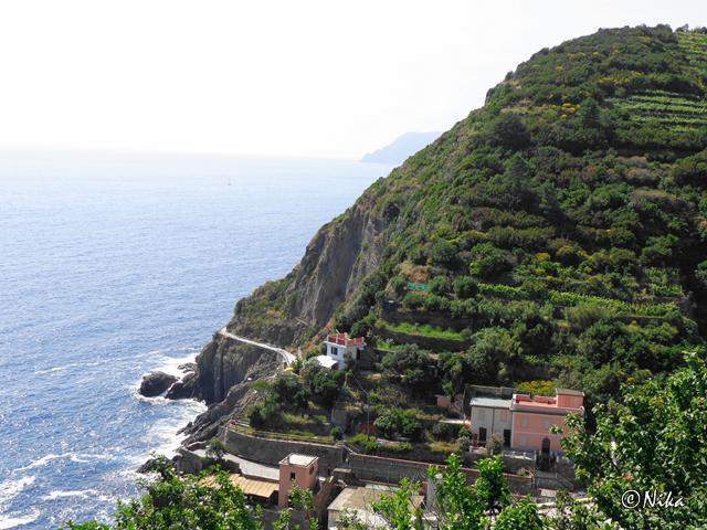 DSC02351Riomaggioref [640x480].JPG