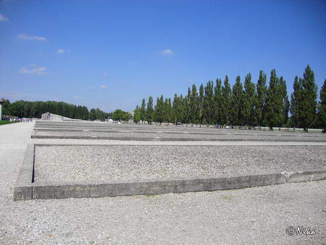 DSC02458