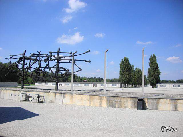 DSC02467