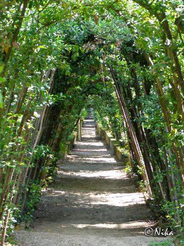 DSC02496GiardinoDiBoboli [640x480]
