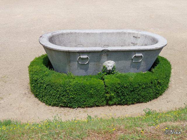 DSC02498GiardiniBoboli [640x480]