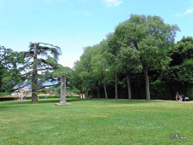 DSC02502GiardinoDiBoboli [640x480]