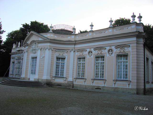 DSC02541