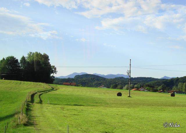 DSC02552