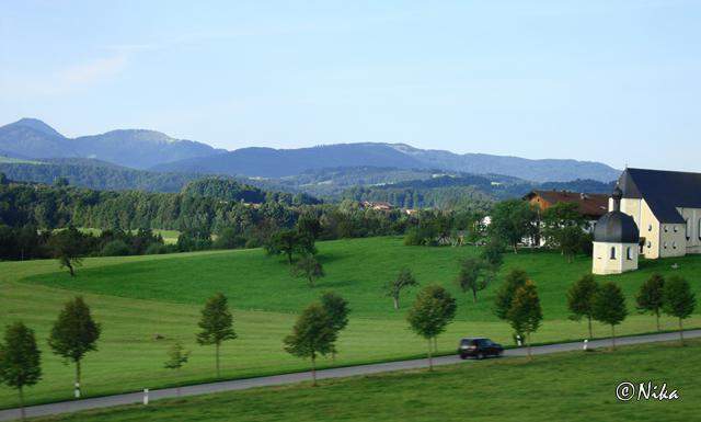 DSC02554.JPG