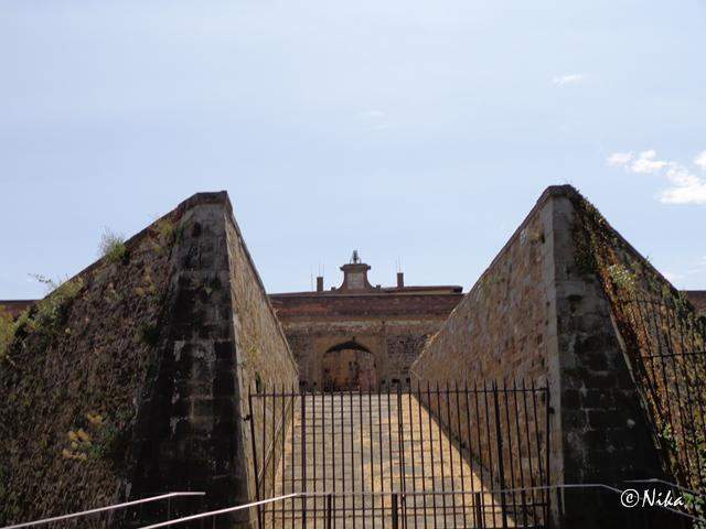 DSC02555FortediBelvedere [640x480]