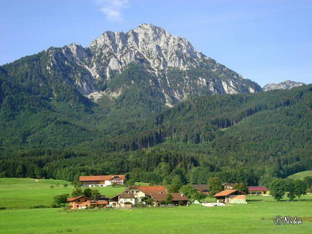 DSC02589.JPG