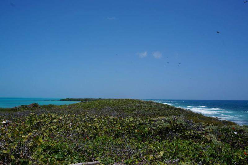 DSC02607
