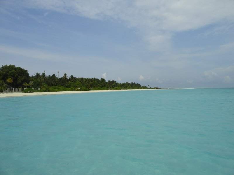 DSC02610