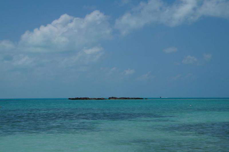 DSC02615