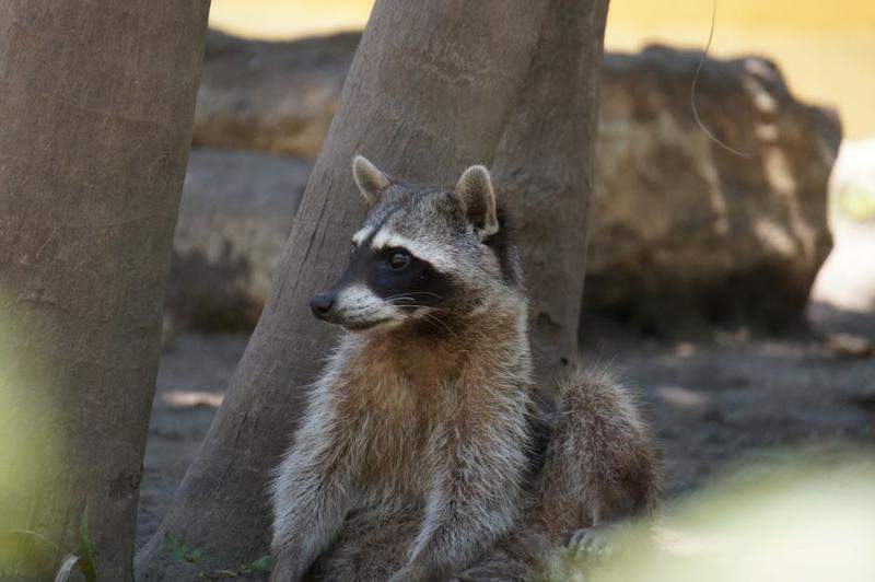 DSC02664