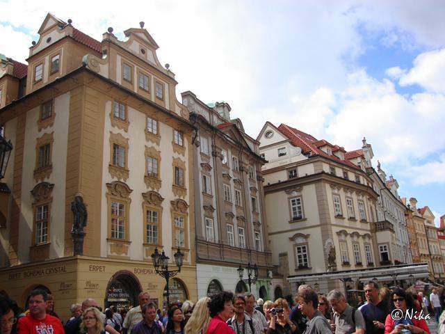 DSC02785