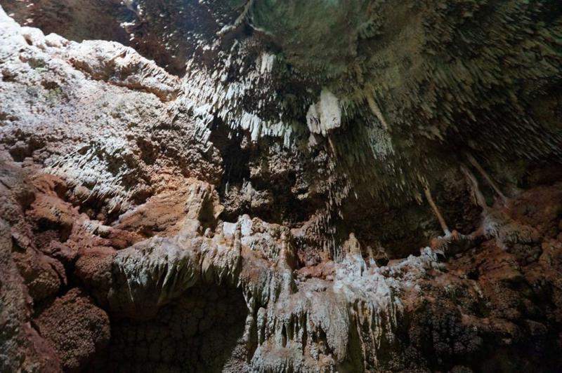DSC03016