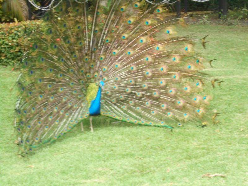 DSC03044