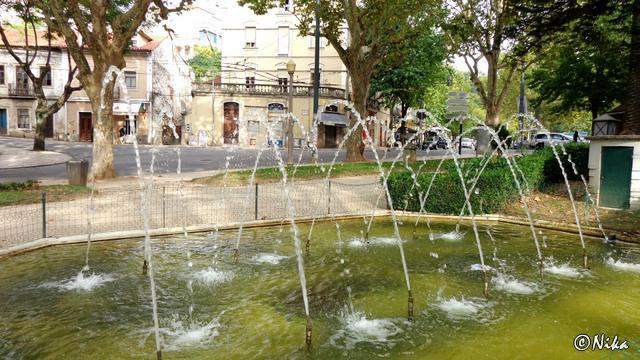 DSC03044JardimSádaBandeira Coimbra [640x480]p