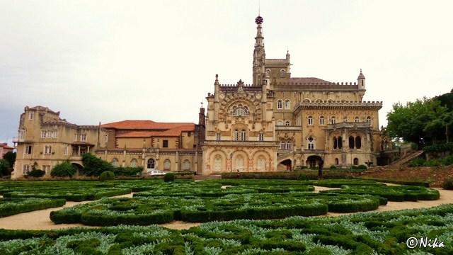 DSC03152Bussaco [640x480]p