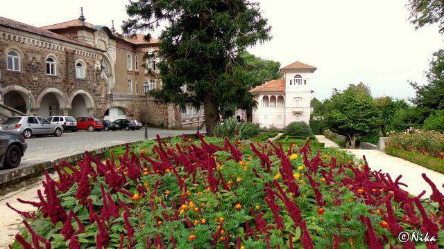 DSC03166Bussaco [640x480]p