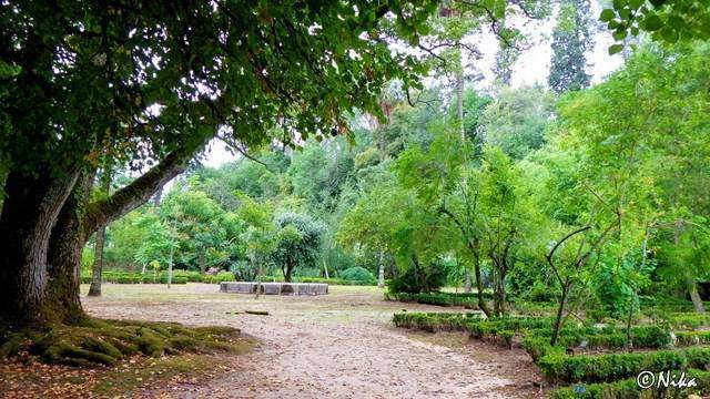 DSC03246JardimBotânico-Coimbra [640x480]p.JPG