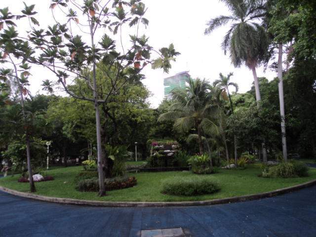 DSC03304