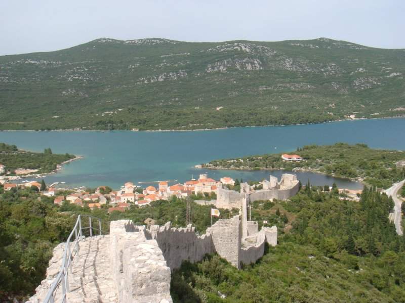 DSC03509