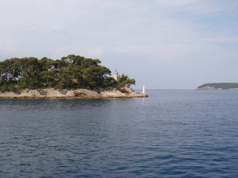 DSC03653