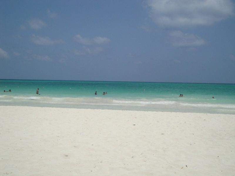 DSC03791 (Copiar)