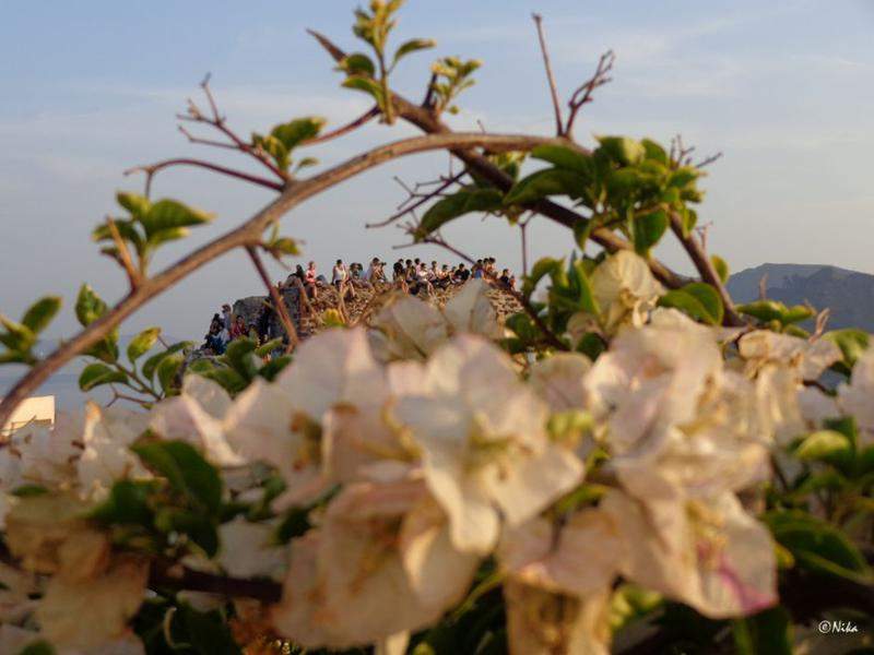 DSC03910Oia (Copiar)