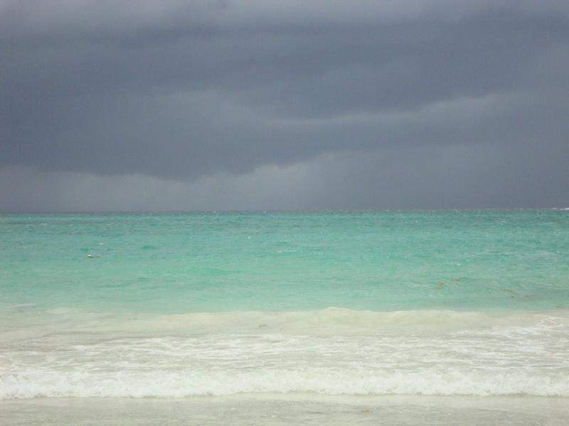 DSC04002 (Copiar)