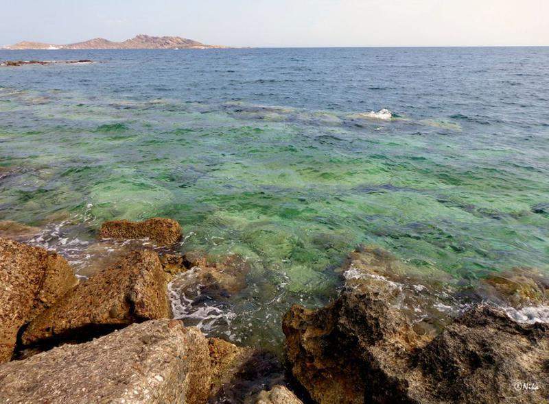 DSC04247Naoussa.JPG