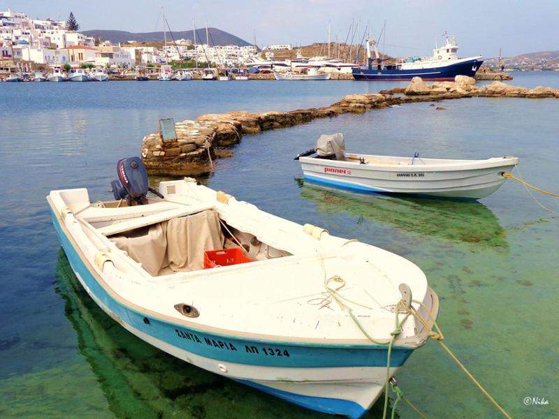 DSC04252Naoussa.JPG