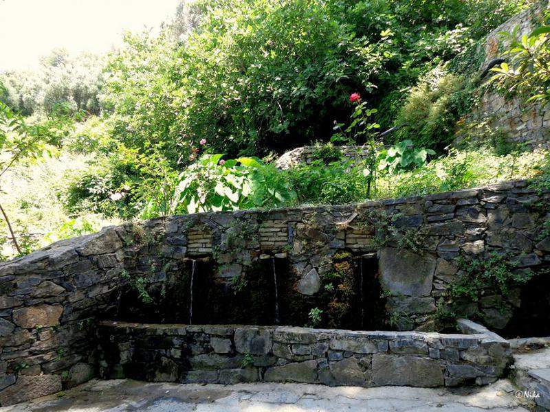 DSC04432Argiroupoli
