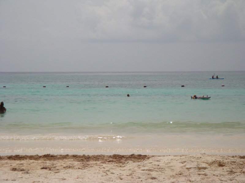 DSC04833