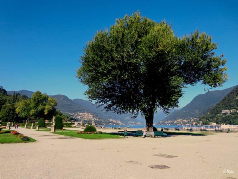 DSC05494Como+ (2) [1024x768]