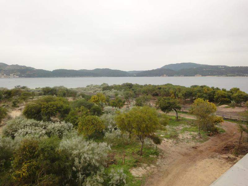 DSC05939