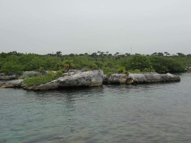 DSC06548