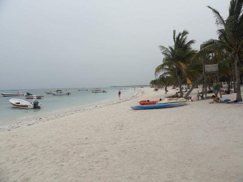 DSC06557