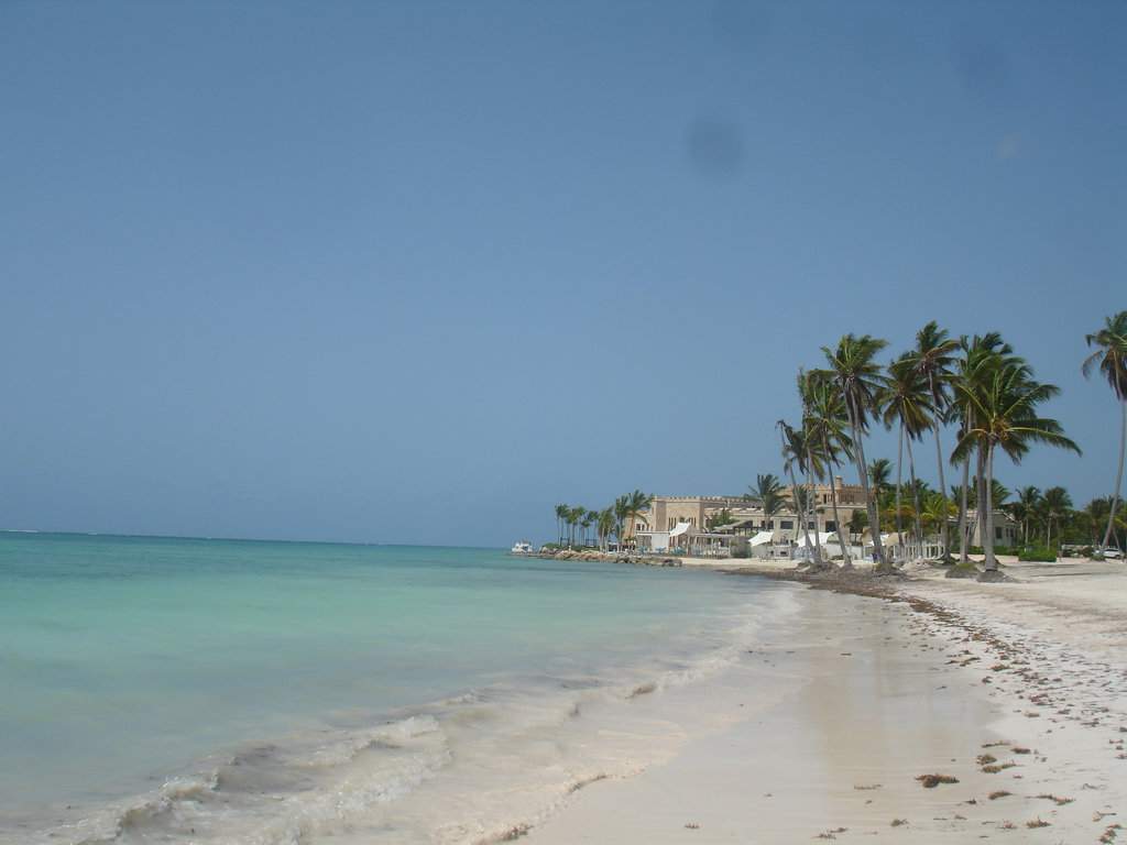 DSC06639