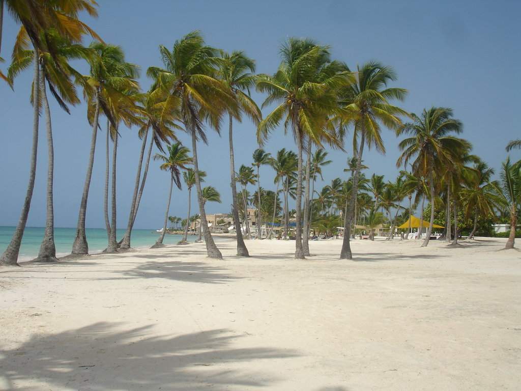 DSC06650