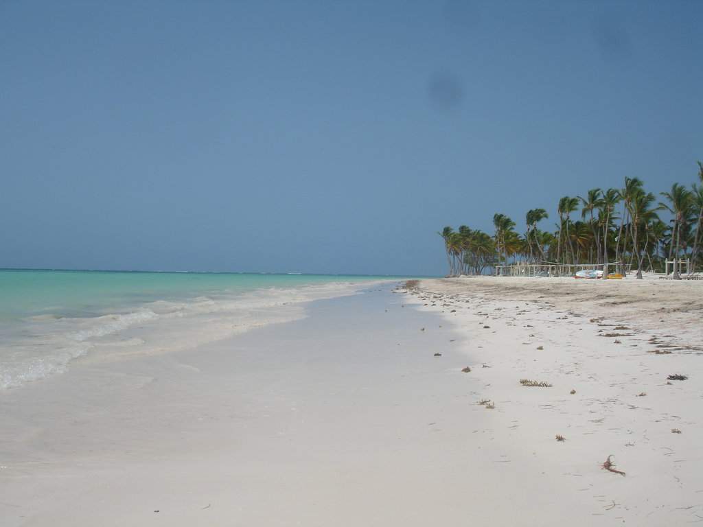 DSC06669