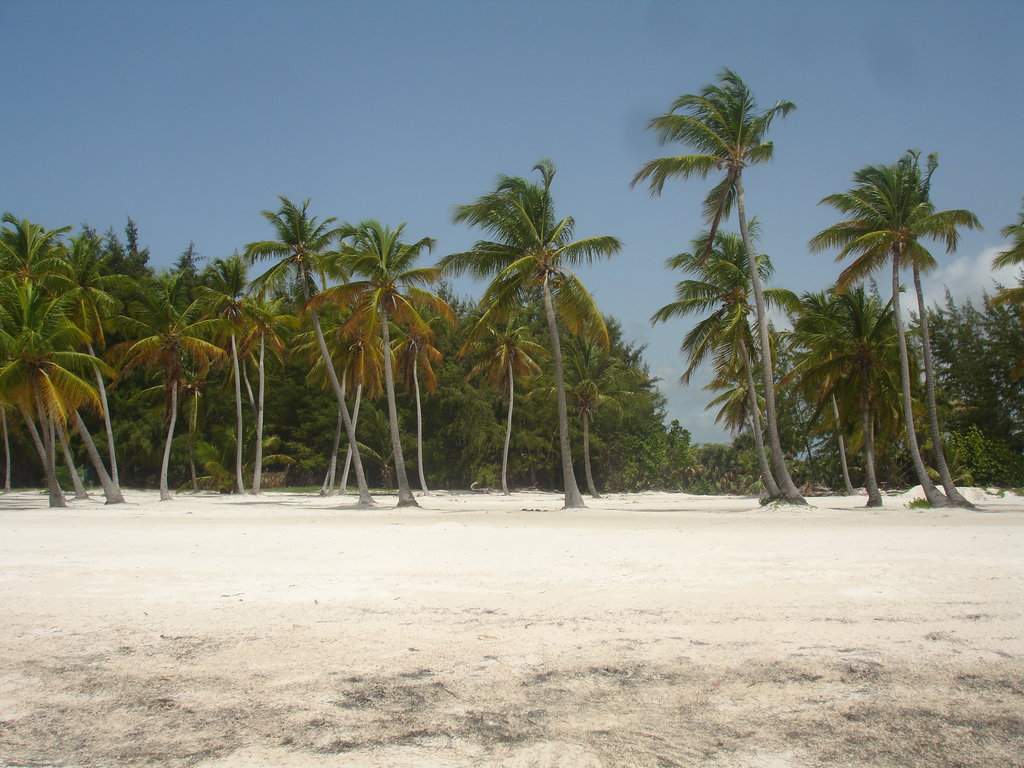 DSC06671