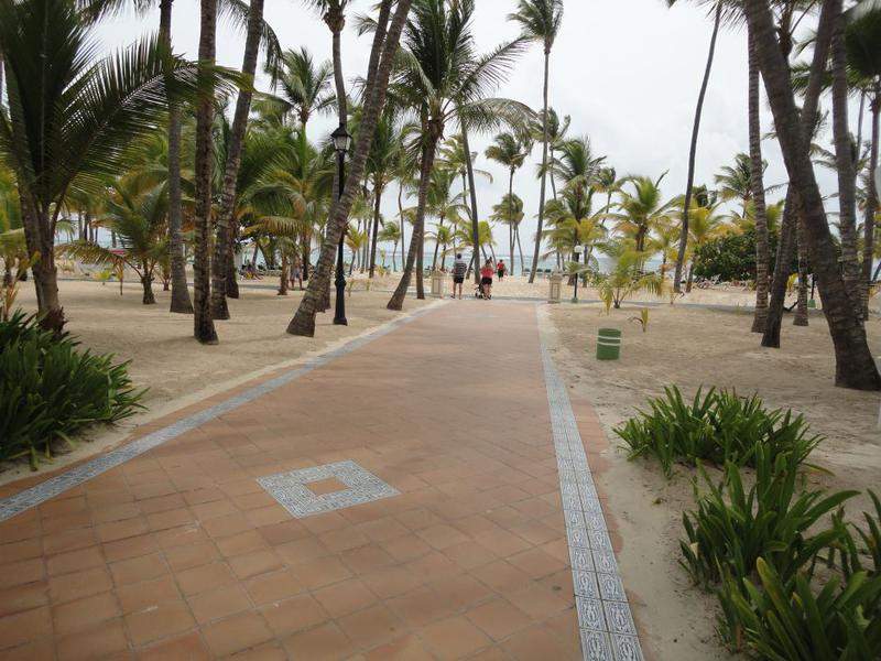 DSC08721
